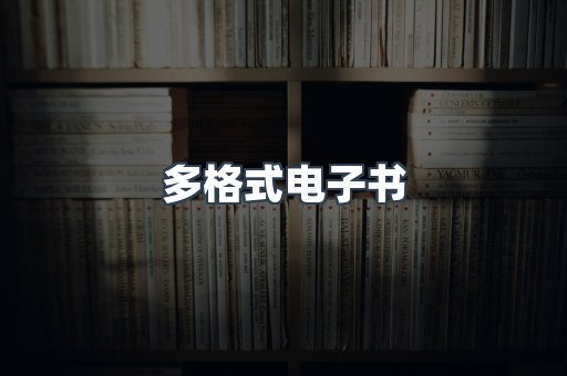 多格式电子书